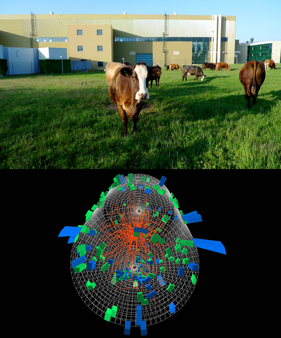 Un des diptyques du projet Augenblick, par Laurent Mulot Un des diptyques du projet Augenblick, par Laurent Mulot